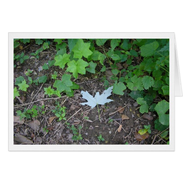 Stehen Sie da (Vorderseite (Horizontal))