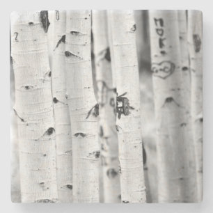 Stehen Sie hoch Aspen Steinuntersetzer