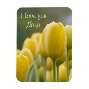 Stehen Sie oben Tulpe Magnet