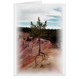 Stehend allein an Bryce Schlucht