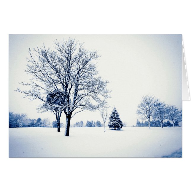 Stehend im Schnee (Vorderseite (Horizontal))