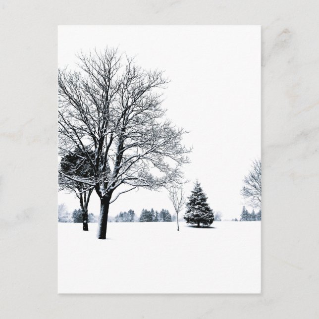 Stehend im Schnee Postkarte (Vorderseite)