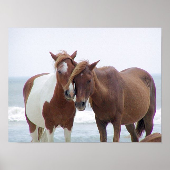 Stehend Poster (Vorne)