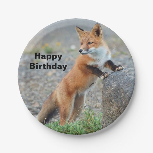 Stehend Red Fox Geburtstag Pappteller (Vorderseite)