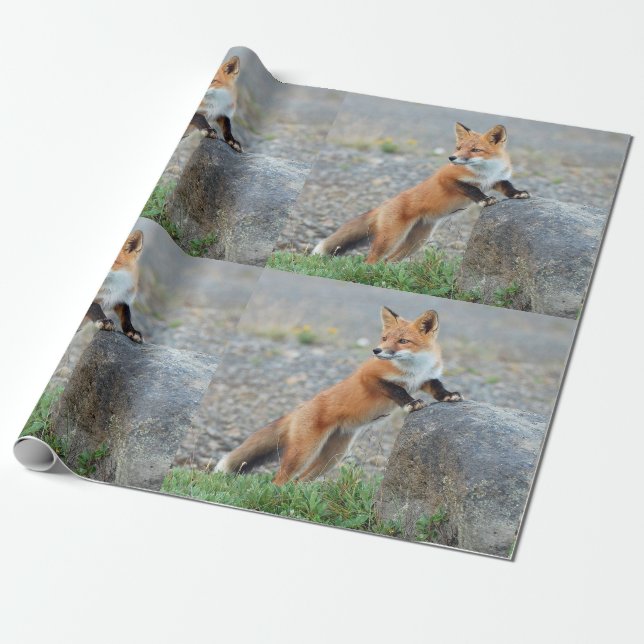 Stehend Red Fox Geschenkpapier (Ungerollt)