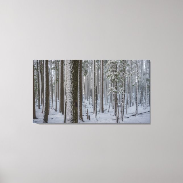 Stehend Tal #1 Leinwanddruck (Vorderseite)