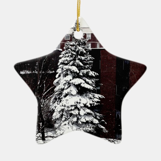 Stehend Tal Keramik Ornament (Vorne)