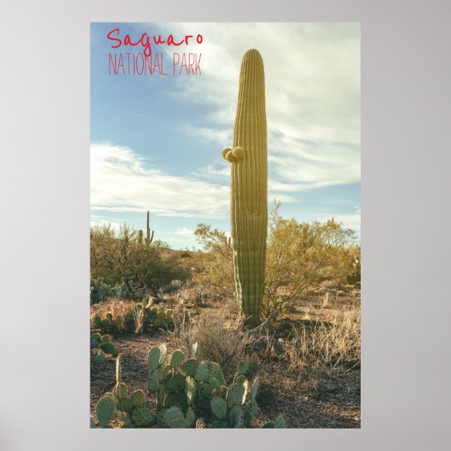 Stehend Tal Poster (Vorne)