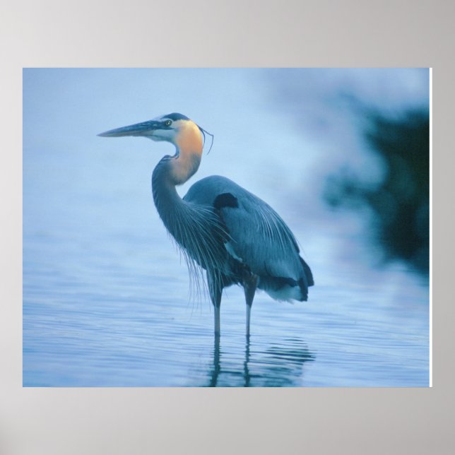 Stehend Tal Poster (Vorne)