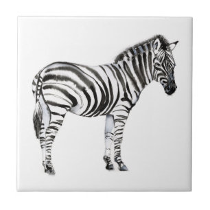 Stehend Zebra Fliese