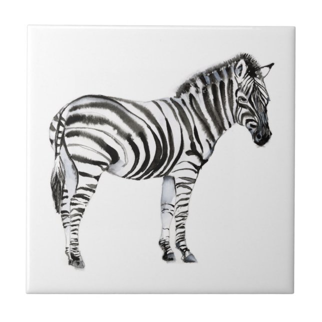 Stehend Zebra Fliese (Vorderseite)