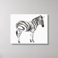 Stehend Zebra