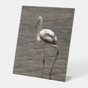 Stehende Alone Juvenile Flamingo Kunst Sockelschild