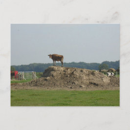 Stehende hübsche Postkarte