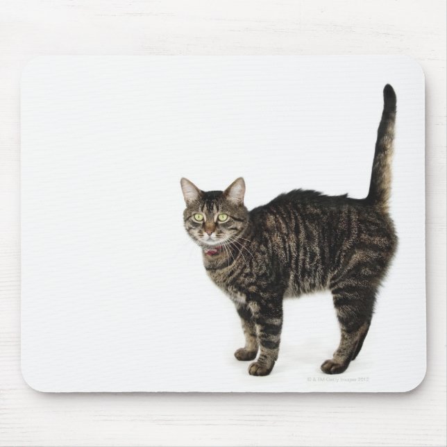 Stehende männliche Tablet-Katze Mousepad (Vorne)