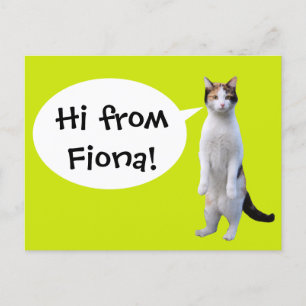 Stehender Cat Custom Message Fun Postkarte
