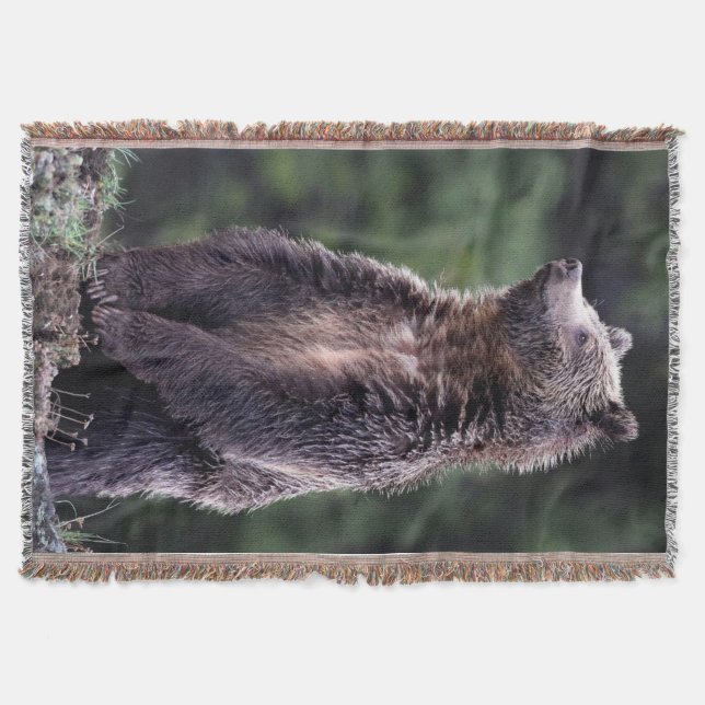 Stehender Grizzly-Bär Decke (Vorderseite)