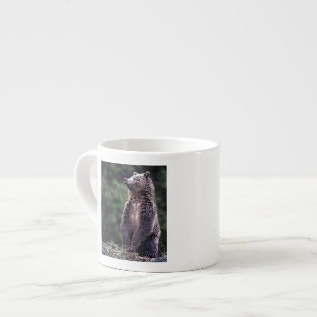 Stehender Grizzly-Bär Espressotasse (Vorderseite Links)