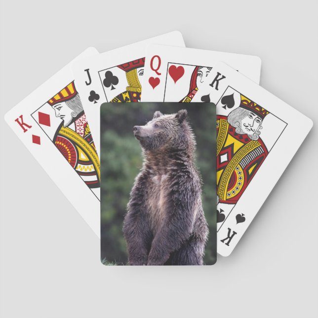 Stehender Grizzly-Bär Spielkarten (Rückseite)