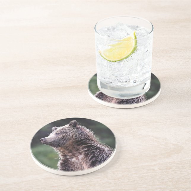 Stehender Grizzly-Bär Untersetzer (Seite)