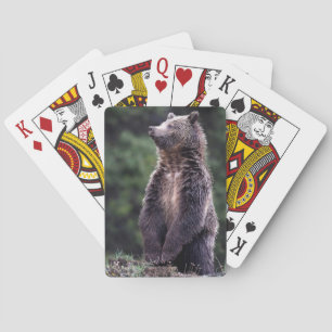 Stehender Grizzlybär Spielkarten