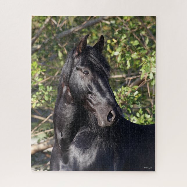 Stehender Headshot des Black Andalucian Horse (Vertikal)
