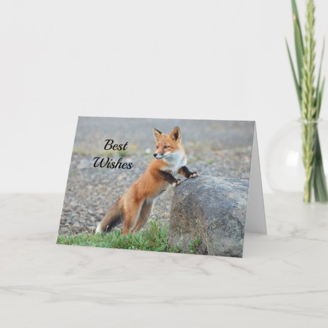 Stehender Red Fox Glückwunsch Hochzeit Karte (Vorderseite)