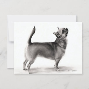 Stehendes Chihuahua-Handgemälde Postkarte