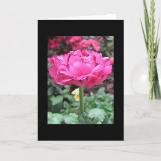 Stehendes hohes karte