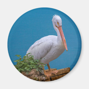 Stehendes Magnet