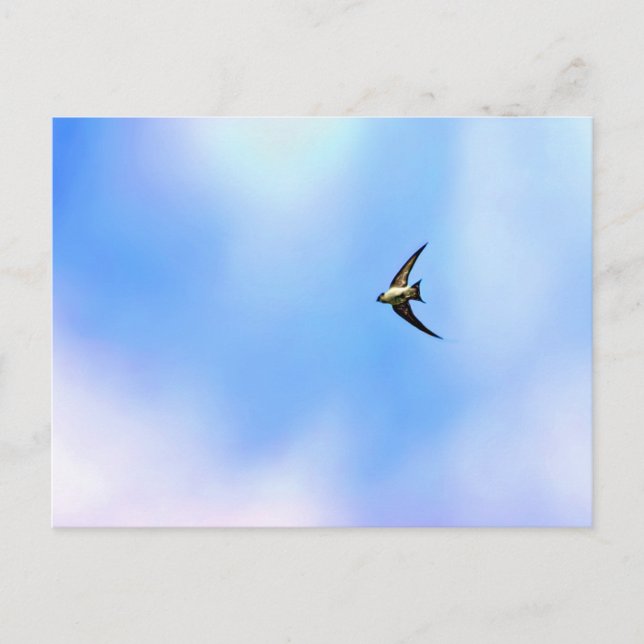 steigen postkarte (Vorderseite)