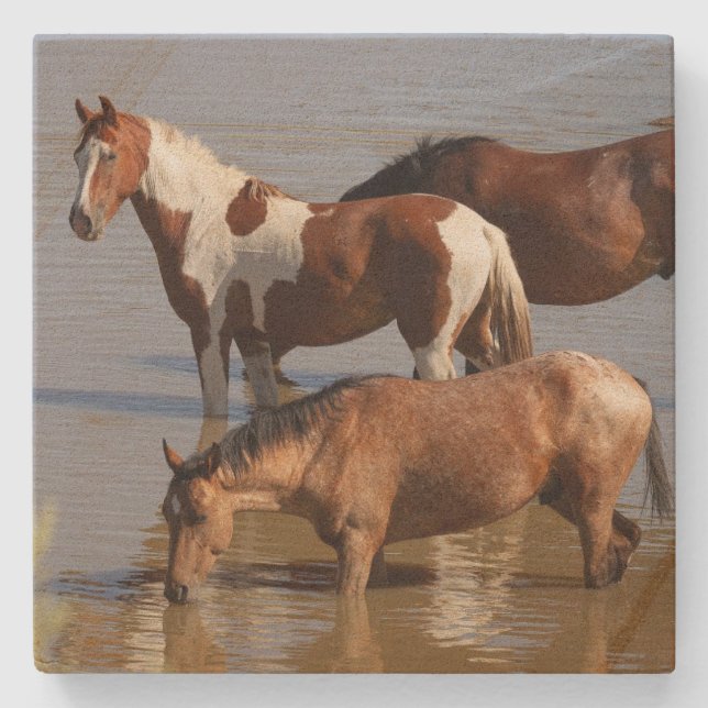 Stein-Achterbahn_Mustangs im Wasser  Steinuntersetzer (Vorderseite)