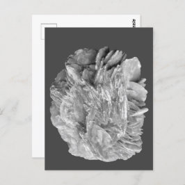 Stein | Neue Ansicht | Zwei Tonebenen | Postkarte