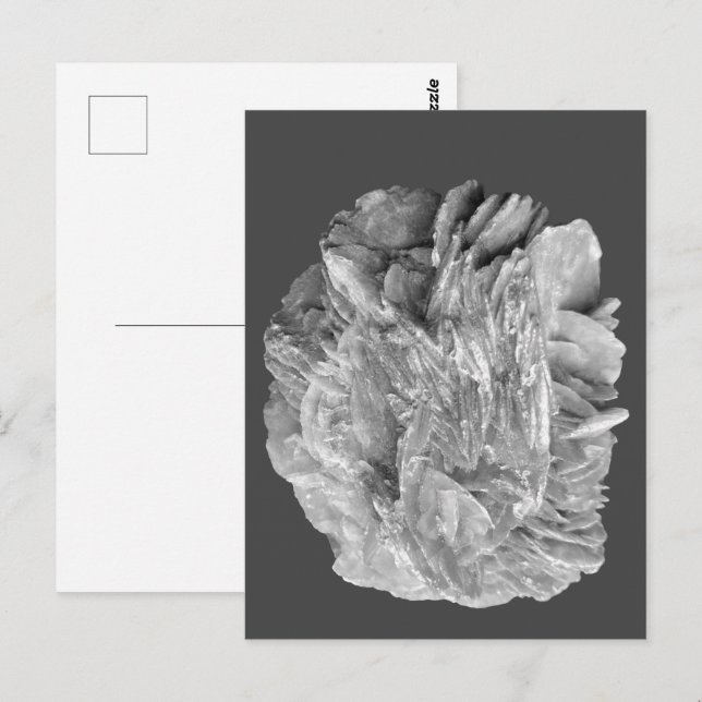 Stein | Neue Ansicht | Zwei Tonebenen | Postkarte (Vorne/Hinten)