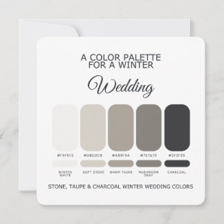 Stein-Taupe-Holzkohle-Winterhochzeit-Palette Karte