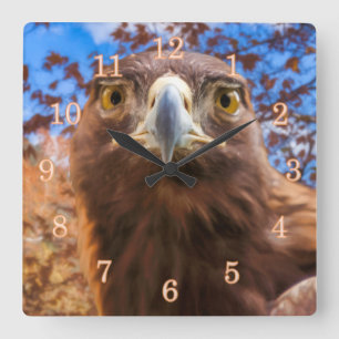 Steinadler GOLDENE AUGEN Quadratische Wanduhr