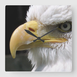 STEINADLER GREIFVOGEL QUADRATISCHE WANDUHR