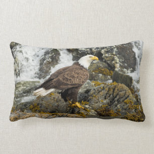 Steinadler Lendenkissen