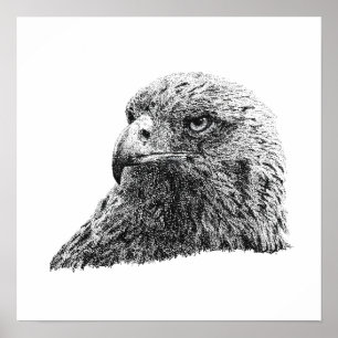 Steinadler Majestätische Wildtier-Vogel-Kunstwerk- Poster