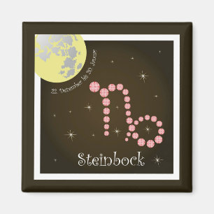 Steinbock 22 Januar Magnet