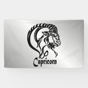 Steinbock der Meeresziege Zodiac Partyhut Banner