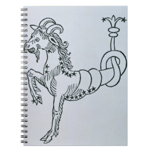 Steinbock (die Ziege) eine Illustration vom 'Poe Notizblock