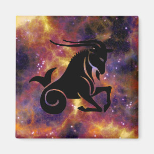 Steinbock-Ziegenmagnet Magnet