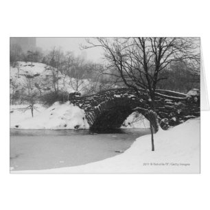 Steinbrücke über schneebedeckten Fluss
