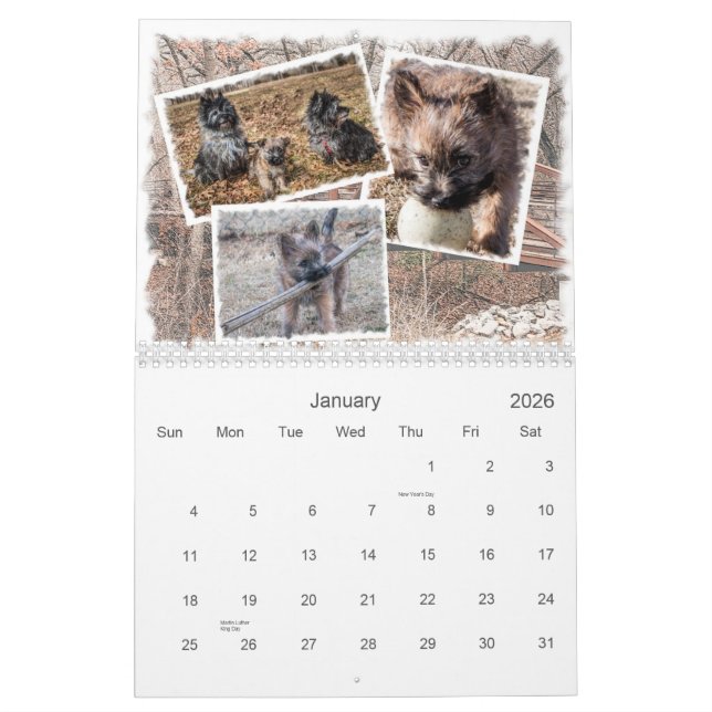 Steinhaufen-Kalender 2014 Kalender (Jan 2026)