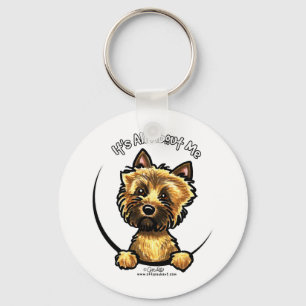 Steinhaufen Terrier, das ganz ungefähr ich sein Schlüsselanhänger