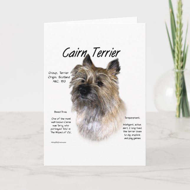 Steinhaufen-Terrier-Geschichtsentwurf Feiertagskarte (Vorderseite)