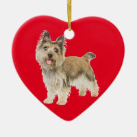 Steinhaufen Terrier