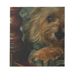 Steinhaufen Terrier Notizblock