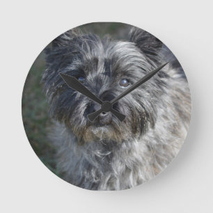 Steinhaufen Terrier stellen gegenüber Runde Wanduhr